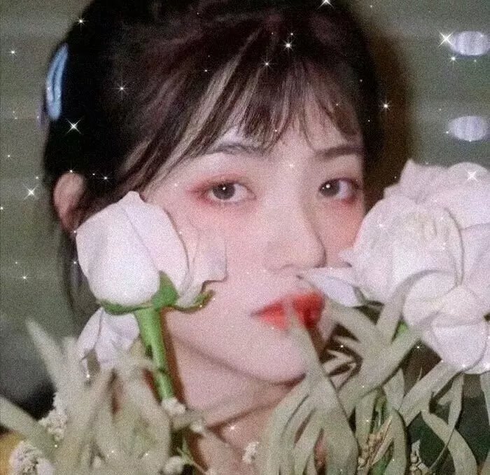 哈伊